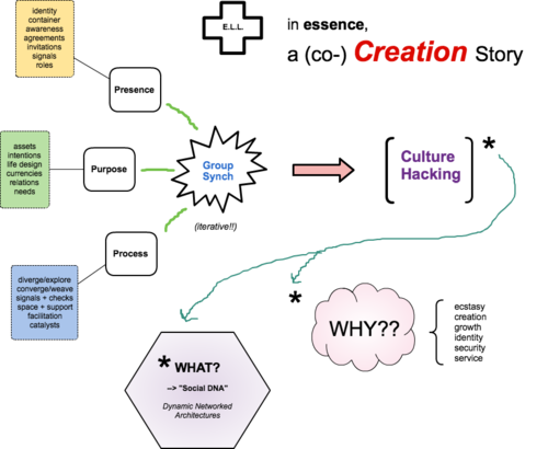 Group Organism Story Diagram